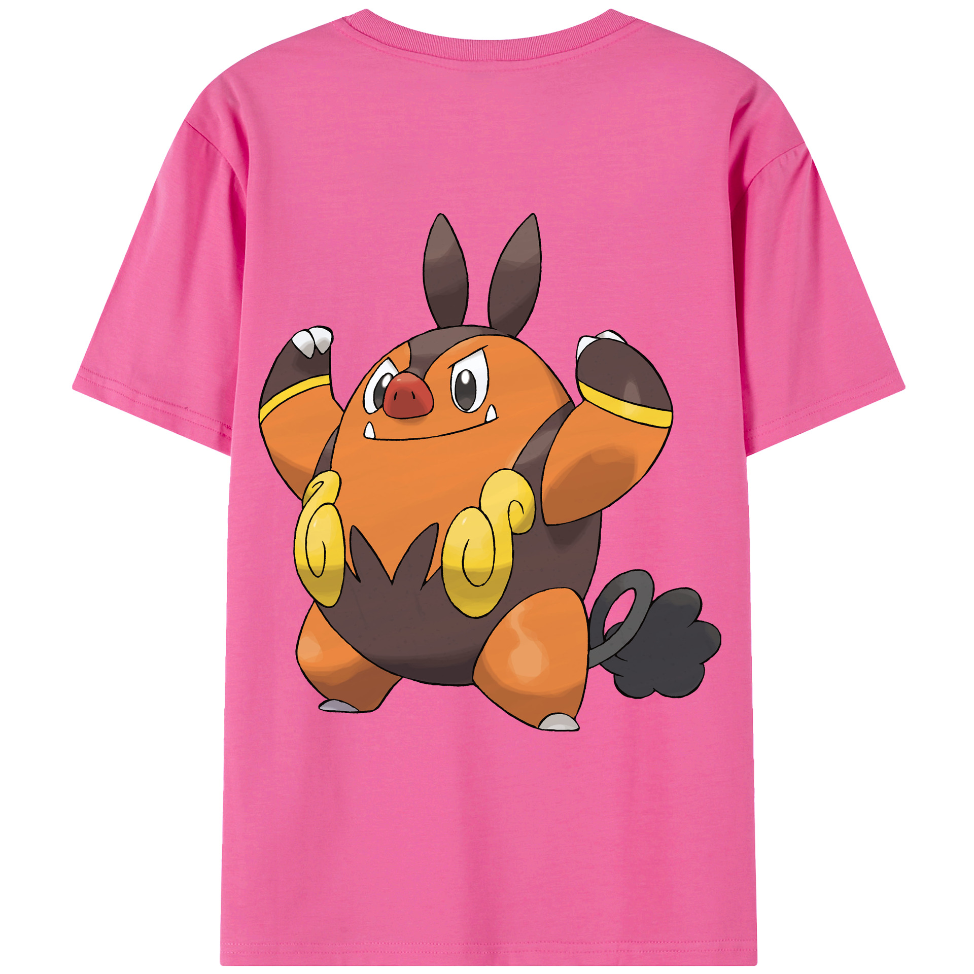 （画像用） ポケットモンスター Pokémon レディース半袖Tシャツ(バックプリント)